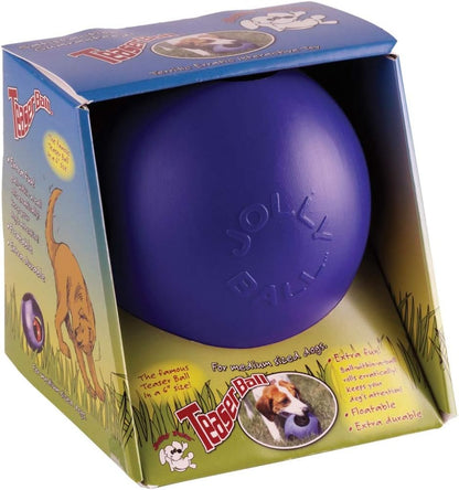 Teaser Ball Interactive Dog Toy, 6 in Medium, Blue