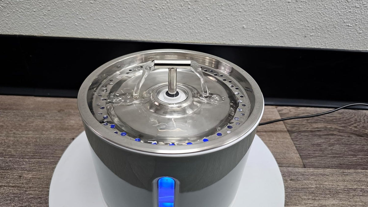 Automated Pet Drinking Fountain