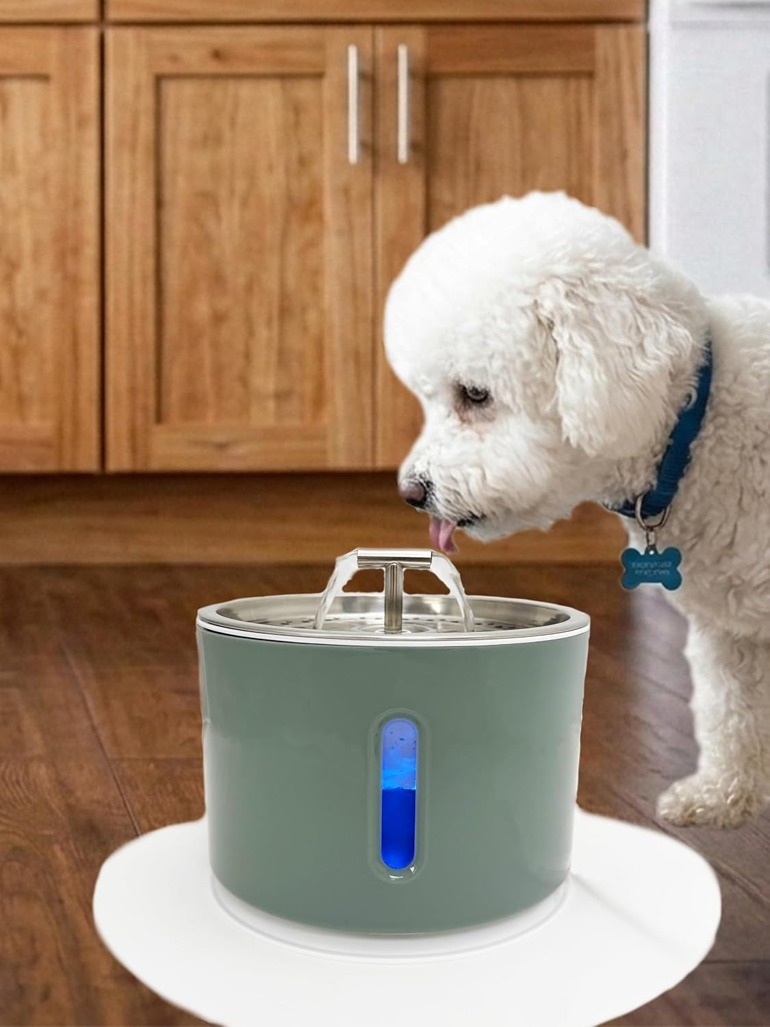 Automated Pet Drinking Fountain