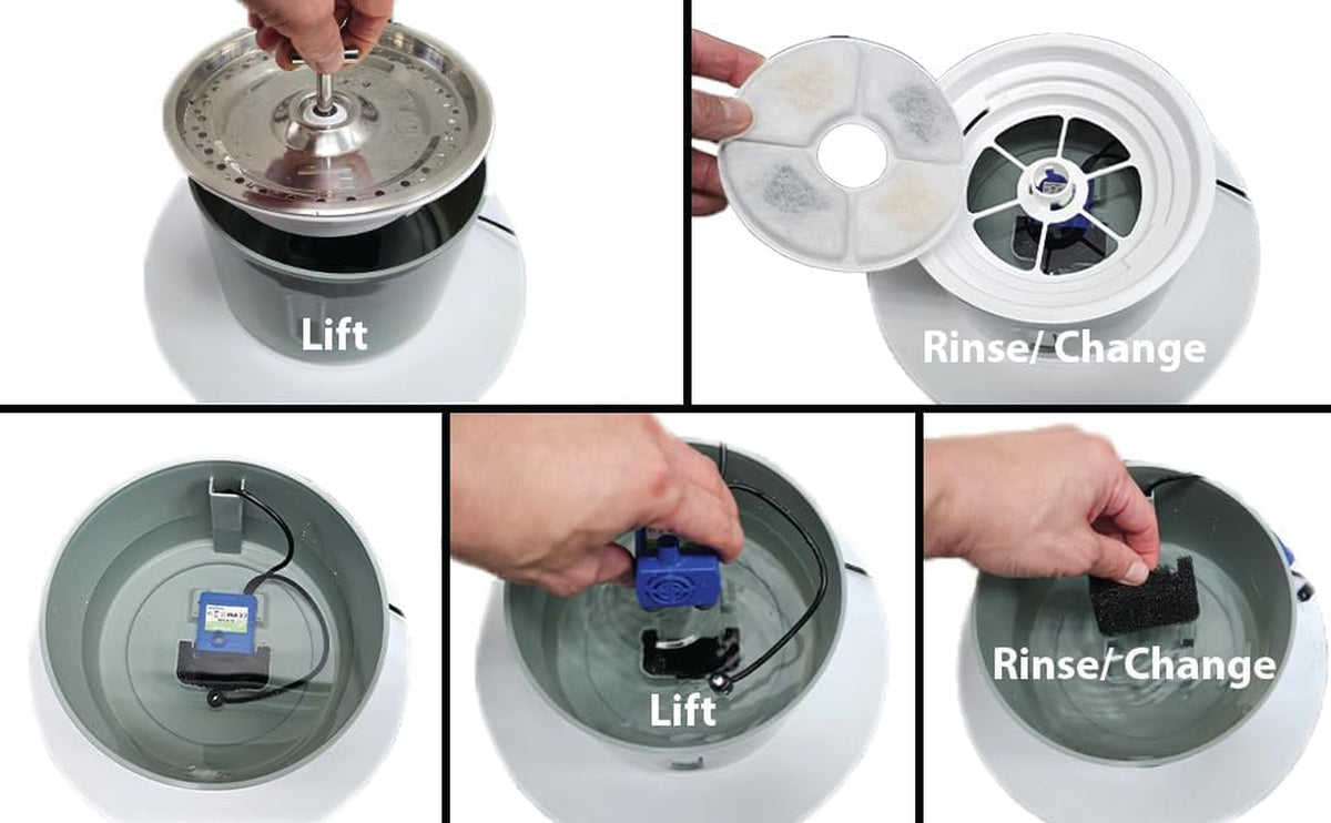 Automated Pet Drinking Fountain