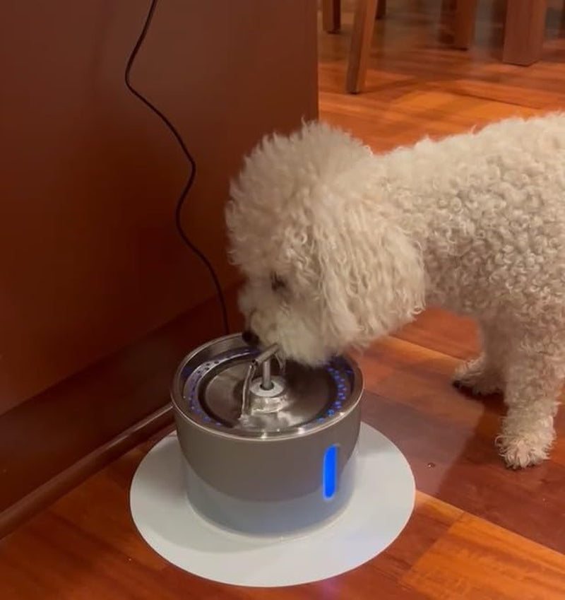 Automated Pet Drinking Fountain